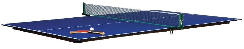 Eliminator Table Tennis Top