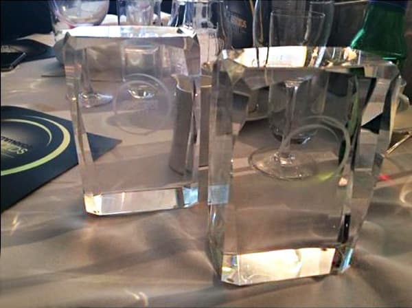 Home Leisure Direct's Trophies at eCommerce Awards 2014 - Best Leisure, Entertainment & Sport eCommerce and Small eCommerce Retailer of the Year