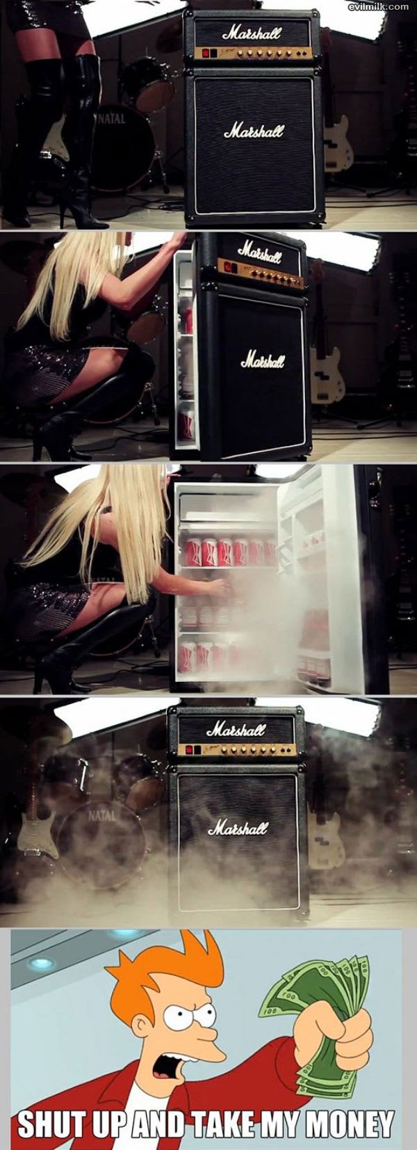 Marshall-fridge-take-my-money.jpg