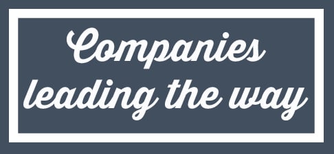 Companies Leading the Way Header