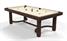 Toulet Cottage Pool Table