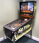No Fear: Dangerous Sports Pinball Machine