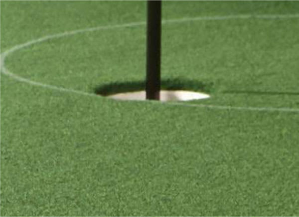 Brunswick The Ross Putting Green - Putting Surface Close-Up