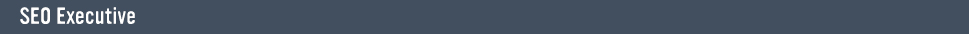 seo-executive-header.jpg
