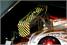 Judge Dredd Pinball Machine - Crane