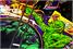 Creature From The Black Lagoon Pinball Machine - Playfield Artwork
