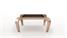 Natus Concept Aranea Pool Table - End
