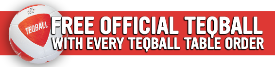 Free Teqball with Every Table