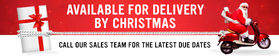 Available for Delivery by Christmas 2022