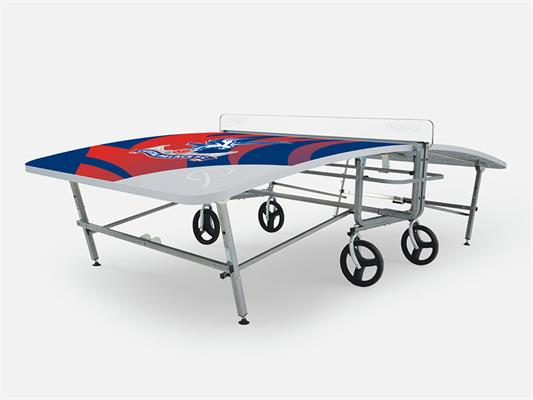 Crystal Palace Teqball Teq Lite Table