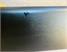 Avant Garde Pool Dining Table - Black Finish - Warehouse Clearance - Damage - 1