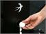 Swift Shadow Indoor Table Tennis Table - Ball Storage