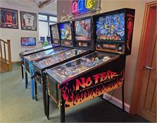 No Fear: Dangerous Sports Pinball Machine